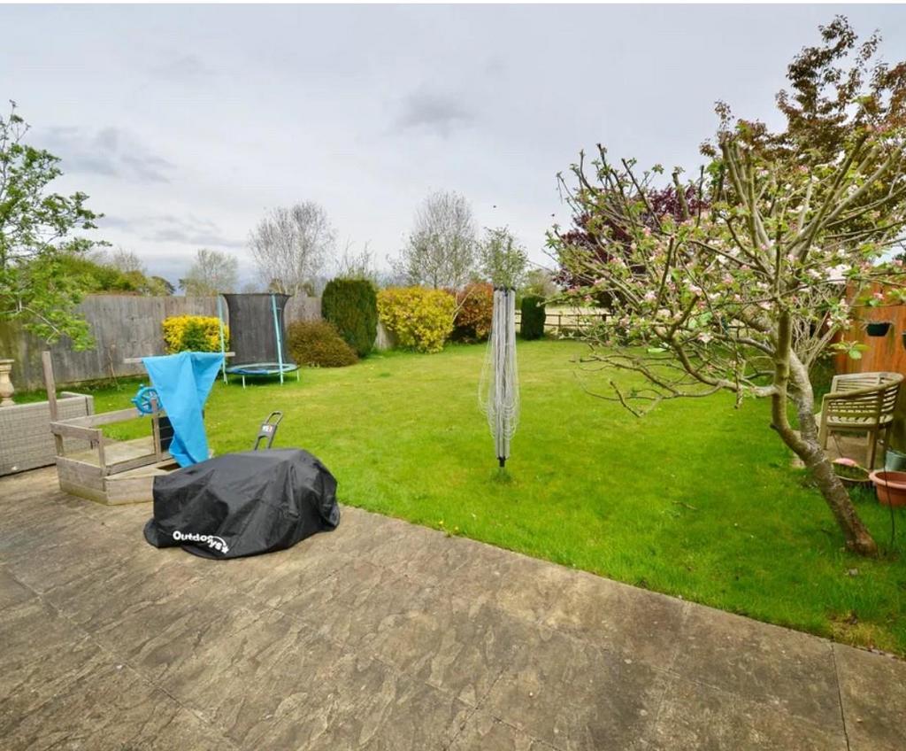 Garden.jpg