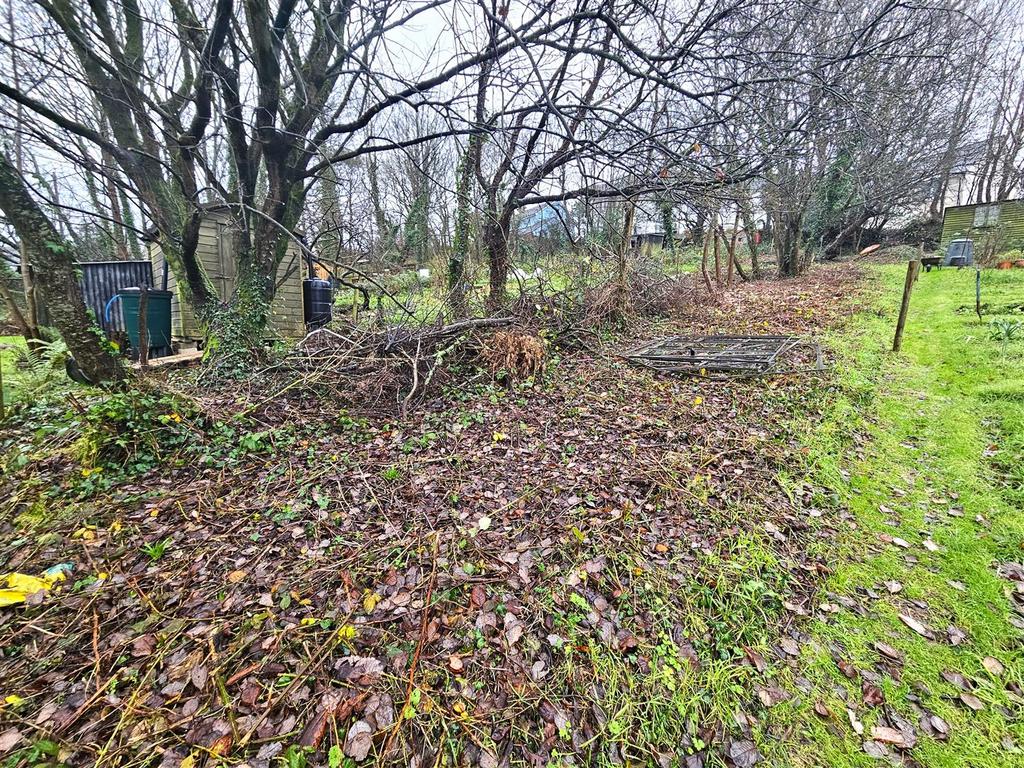 Allotment Garden.jpg