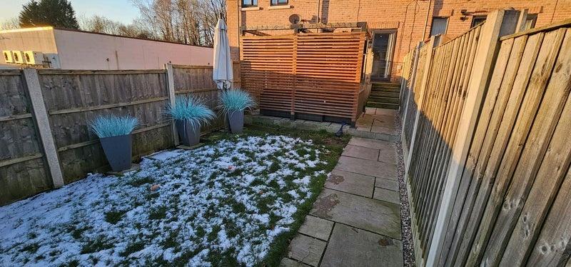 A charming garden featuring a paved walkway, we...