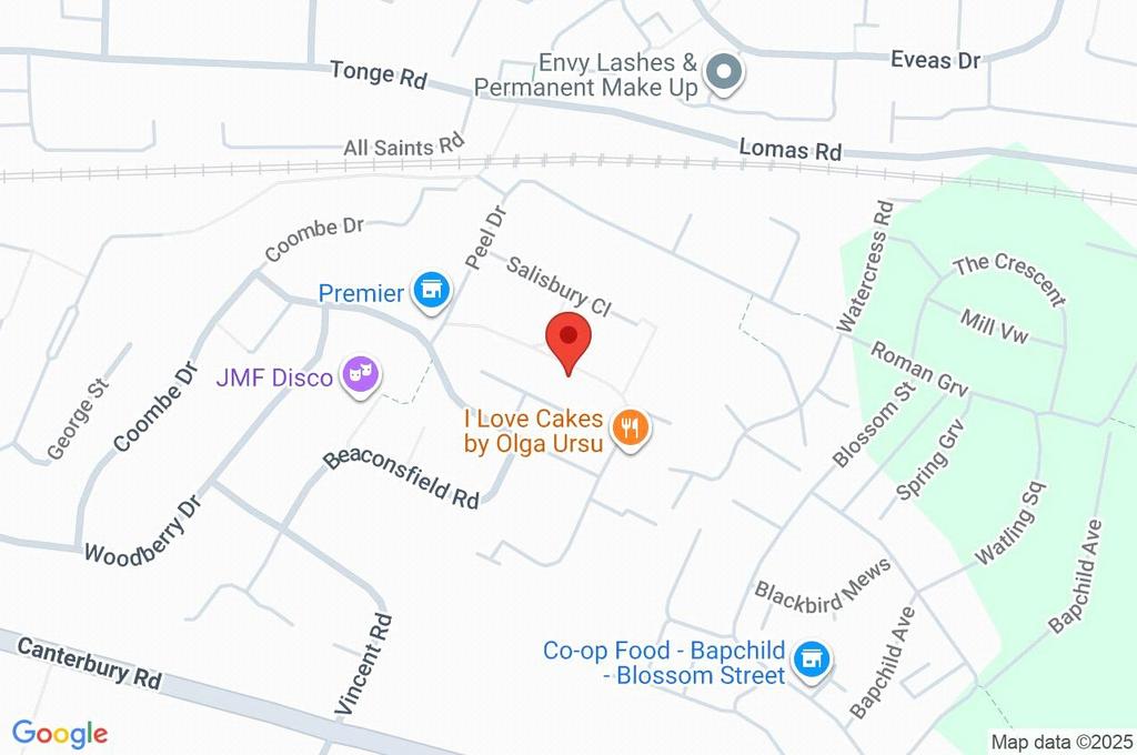 Google Maps Image