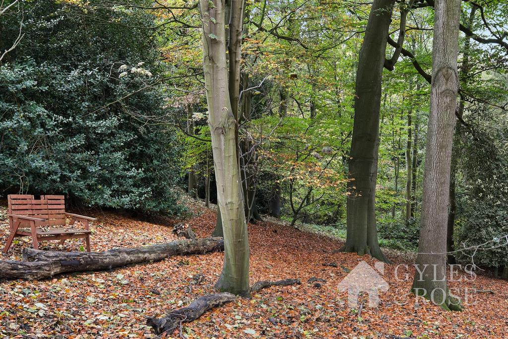 Private Woodland
