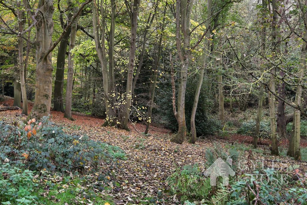 Private Woodland