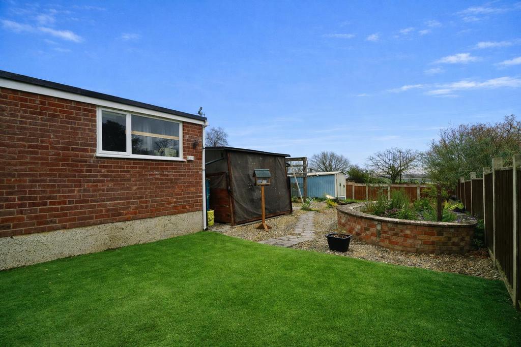 Back garden