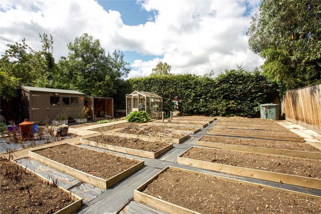 Vegtable Garden