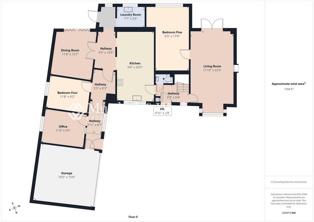 Ground Floor