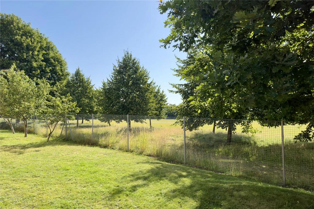 Communal Garden
