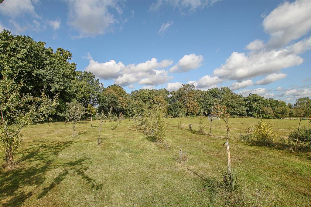 IMG 7681-69.jpg
