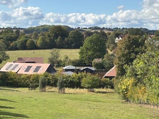 View over fields