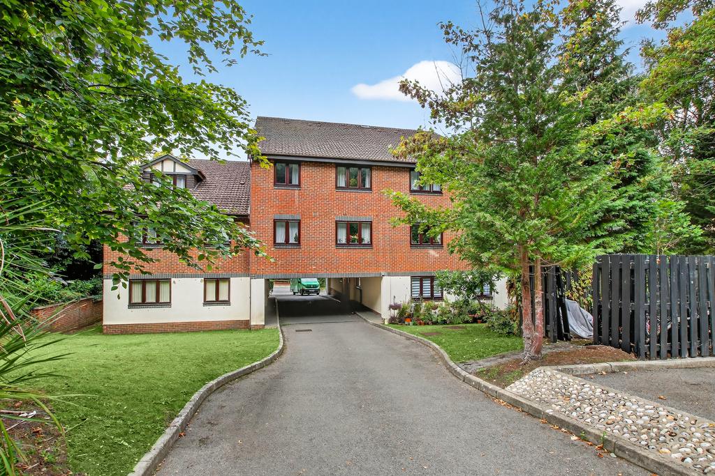 Flat12woodpeckerslarge2