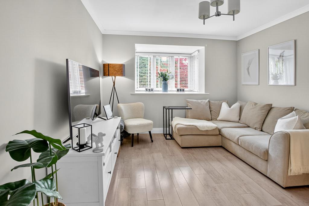 Flat12woodpeckerslarge3