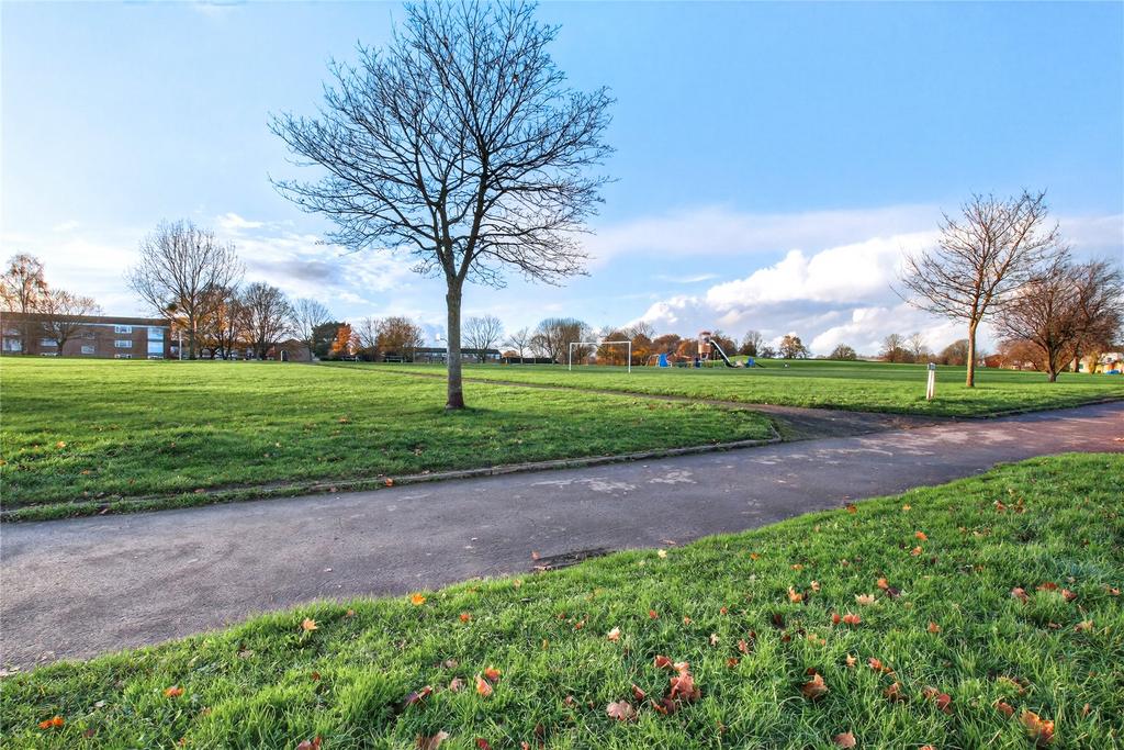 Park Views