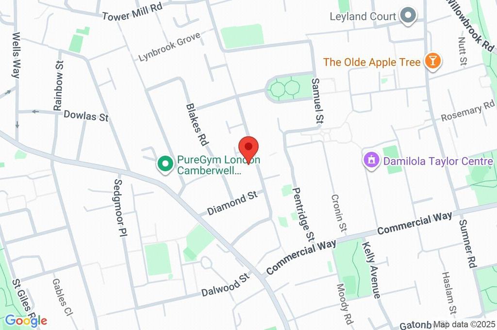 Google Maps Image
