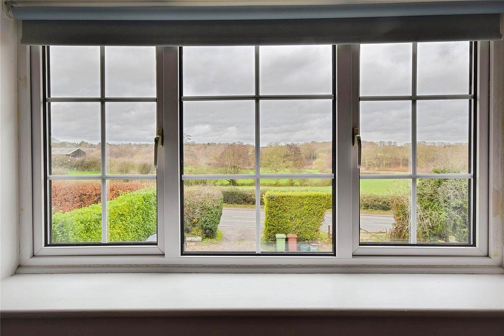 First Floor Views