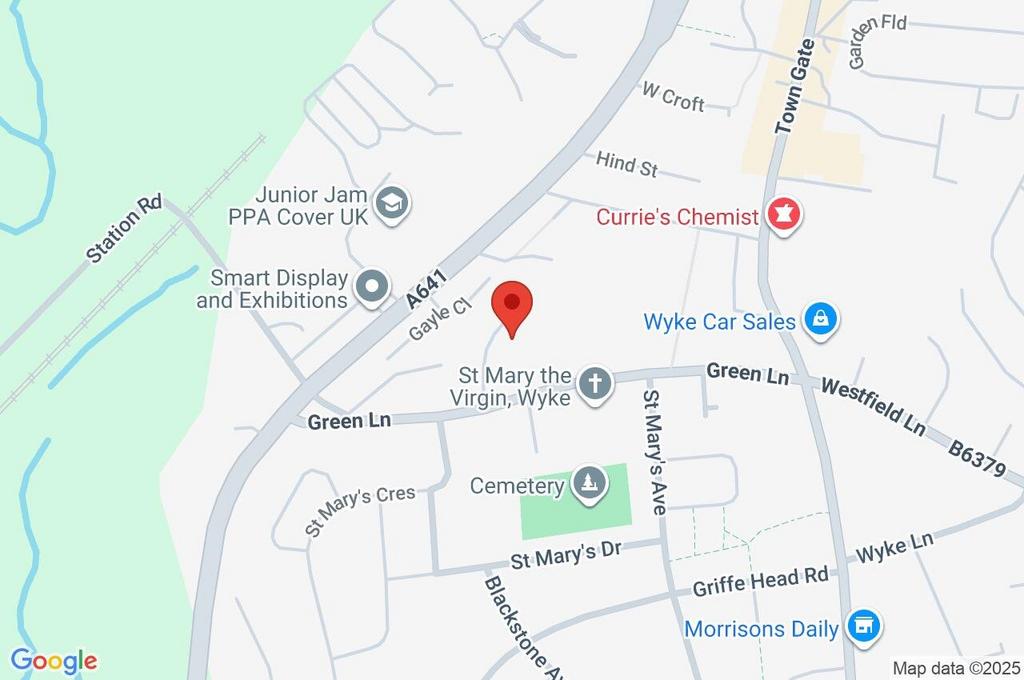 Google Maps Image