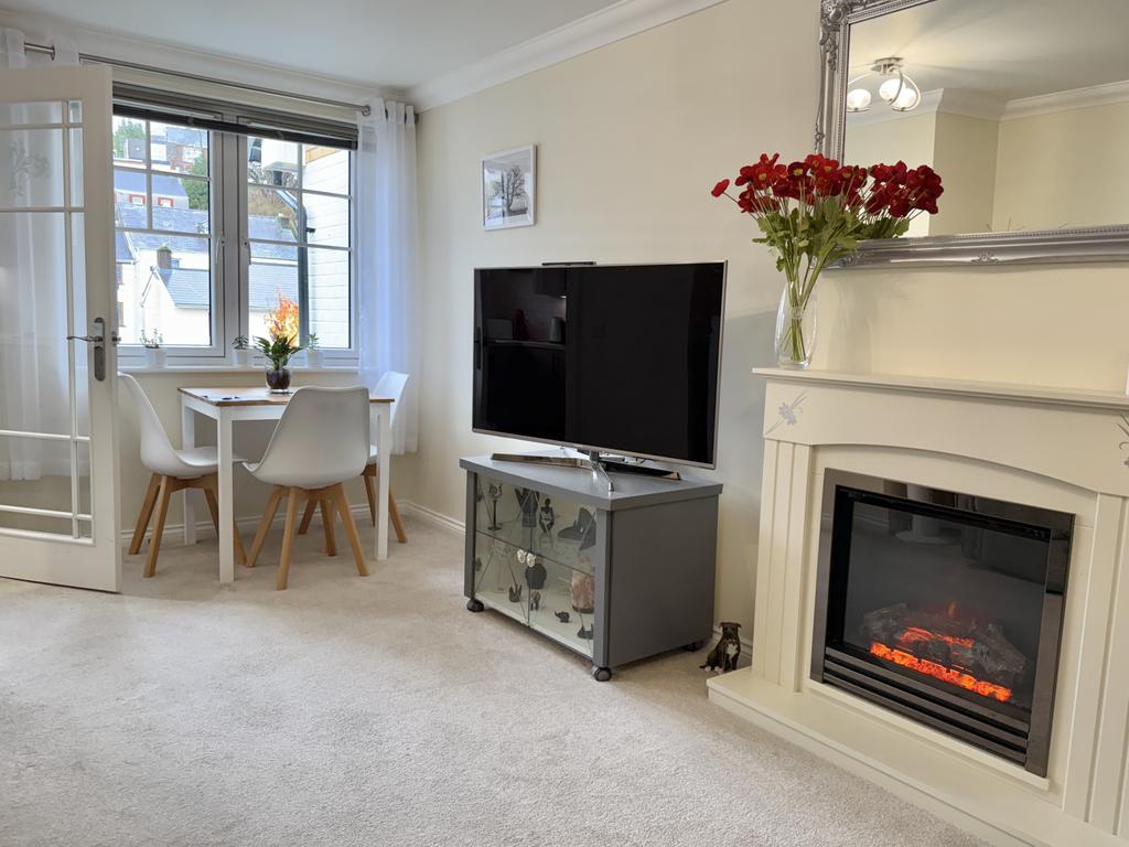 Electric Fireplace