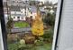 Additional image 14 of Plymouth Road, Tavistock PL19