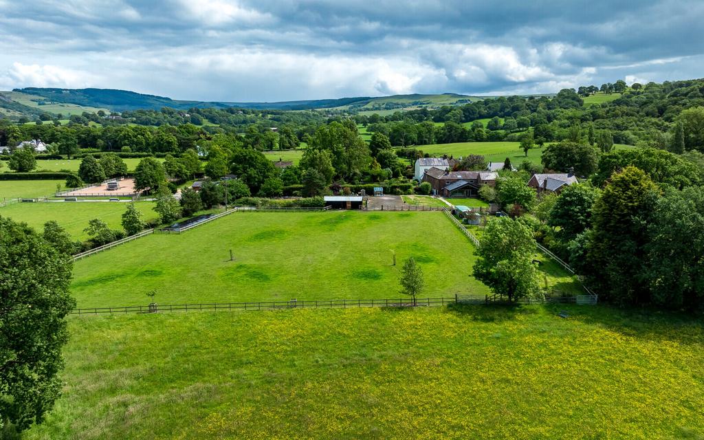 Grounds