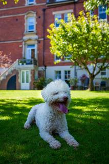 2 bedroom apartment for sale, Parkholme,  Fairfield Road, Eastbourne