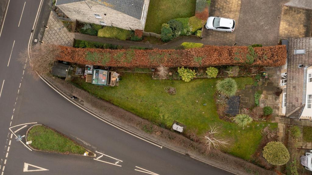 DJI 0307.jpg