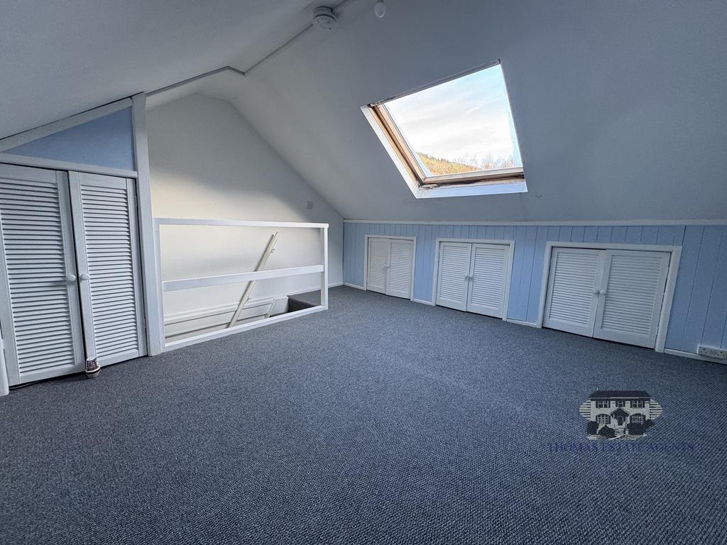 Attic Storage