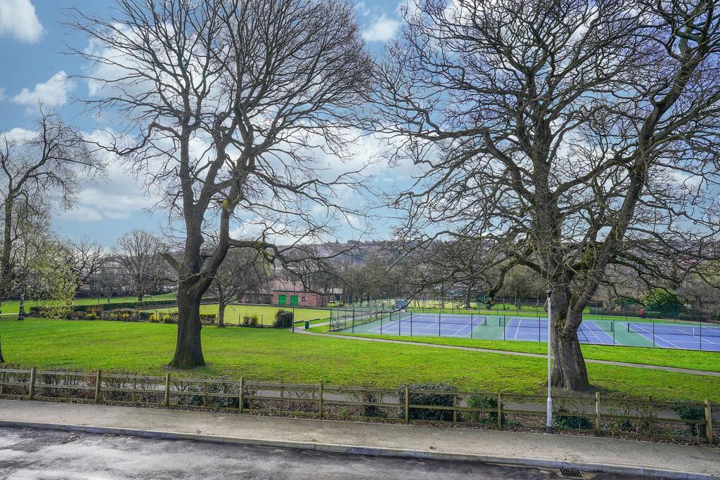 Parkland Views