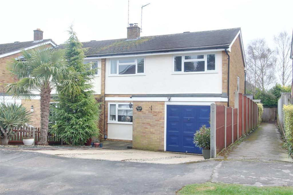 IMG 3131-IMG 3133.jpg