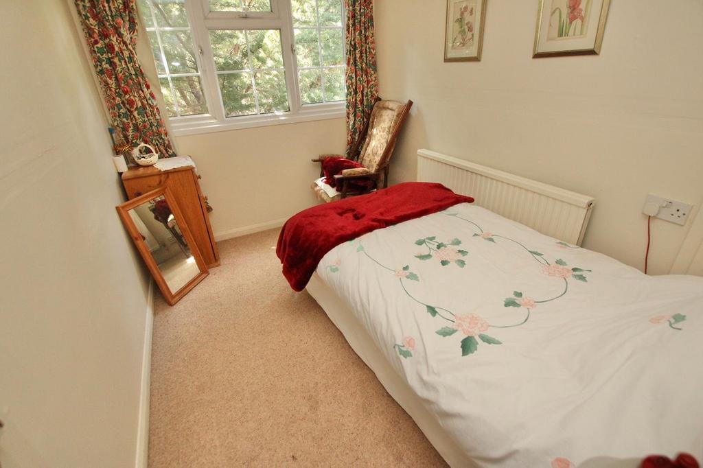 Picture 12