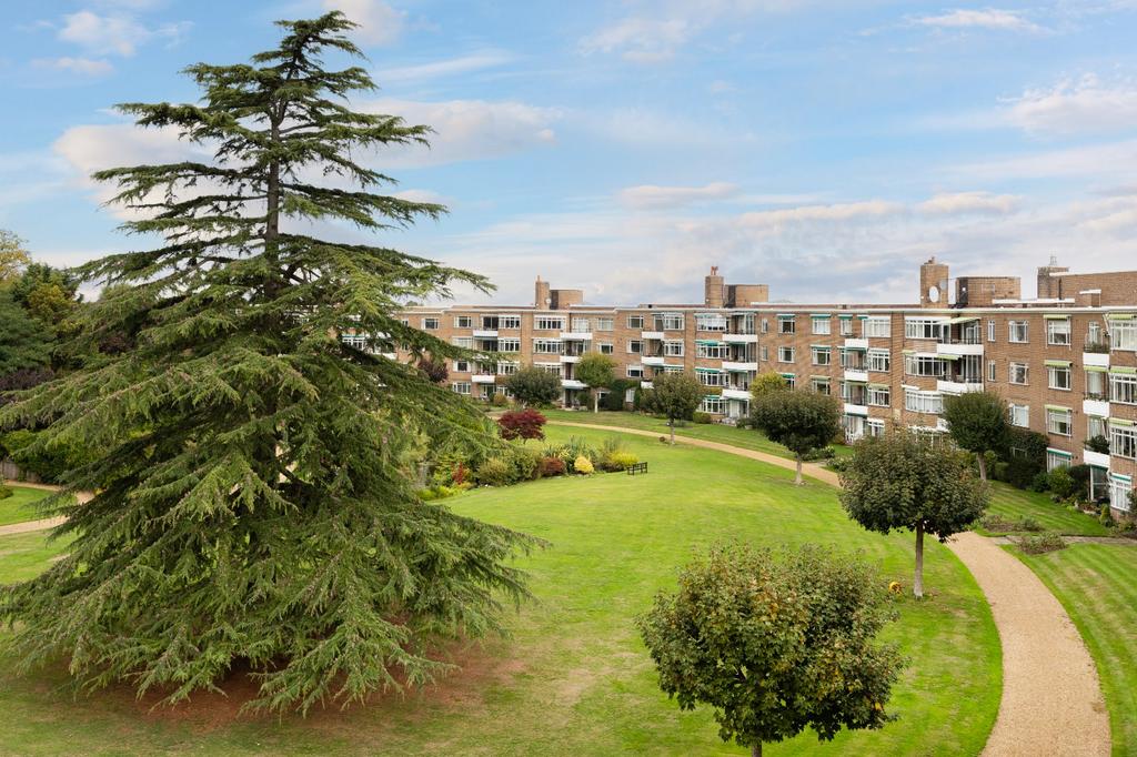 Grounds