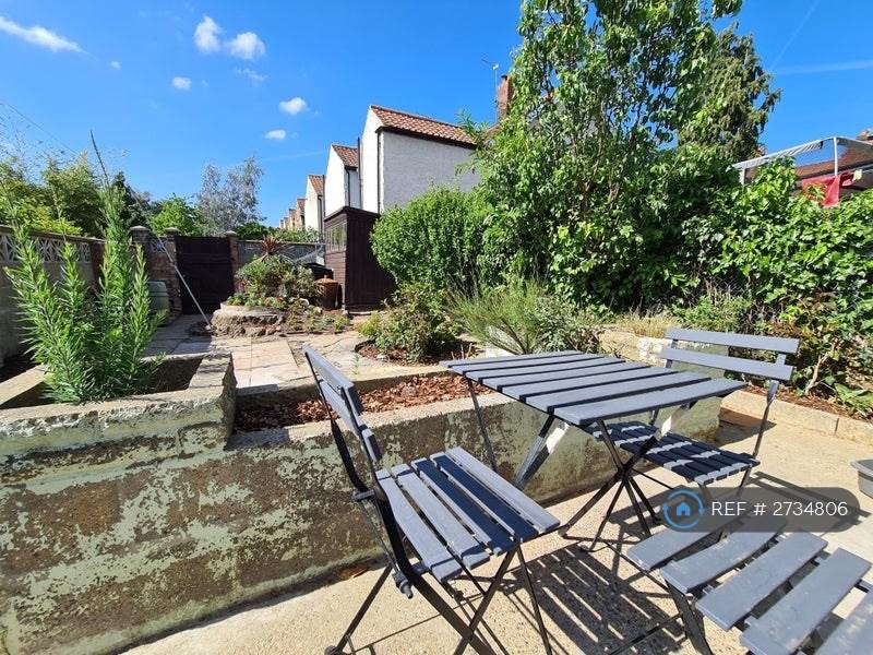 Sunny Garden With Shed And Beer Fridge