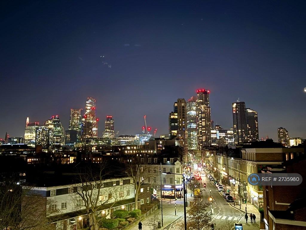 Unobstructed City Views