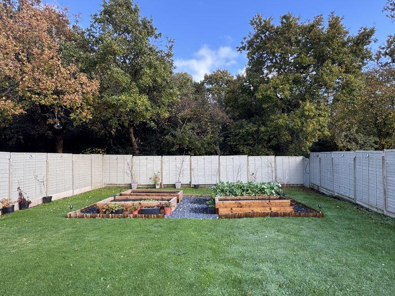 Vegetable patch