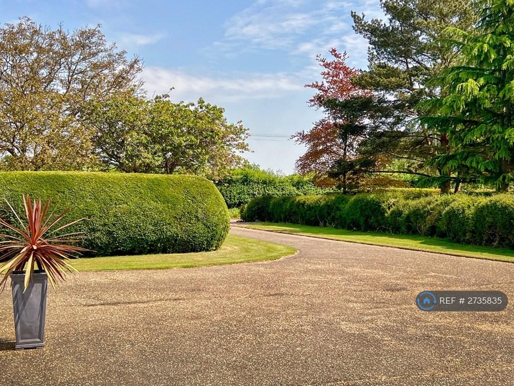 Driveway