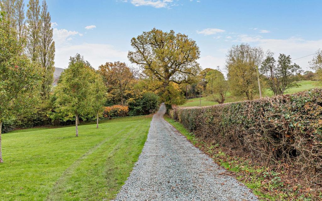 Driveway