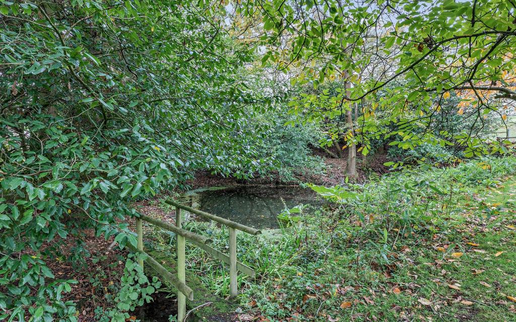 Pond