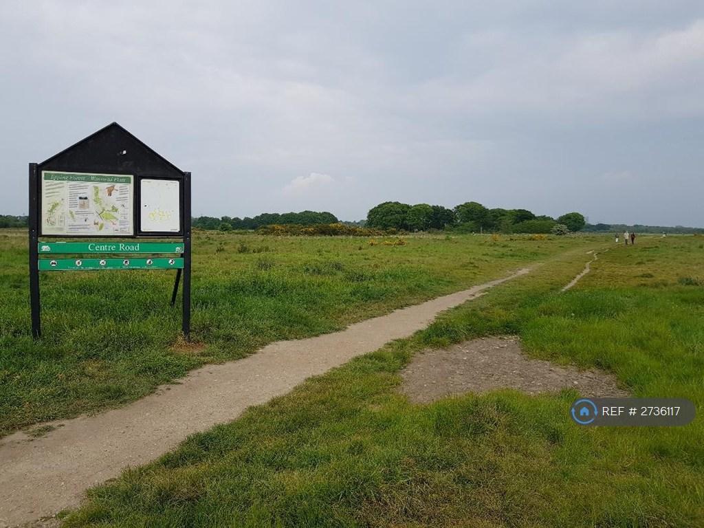 Epping Forest 5 Min Walk From The House