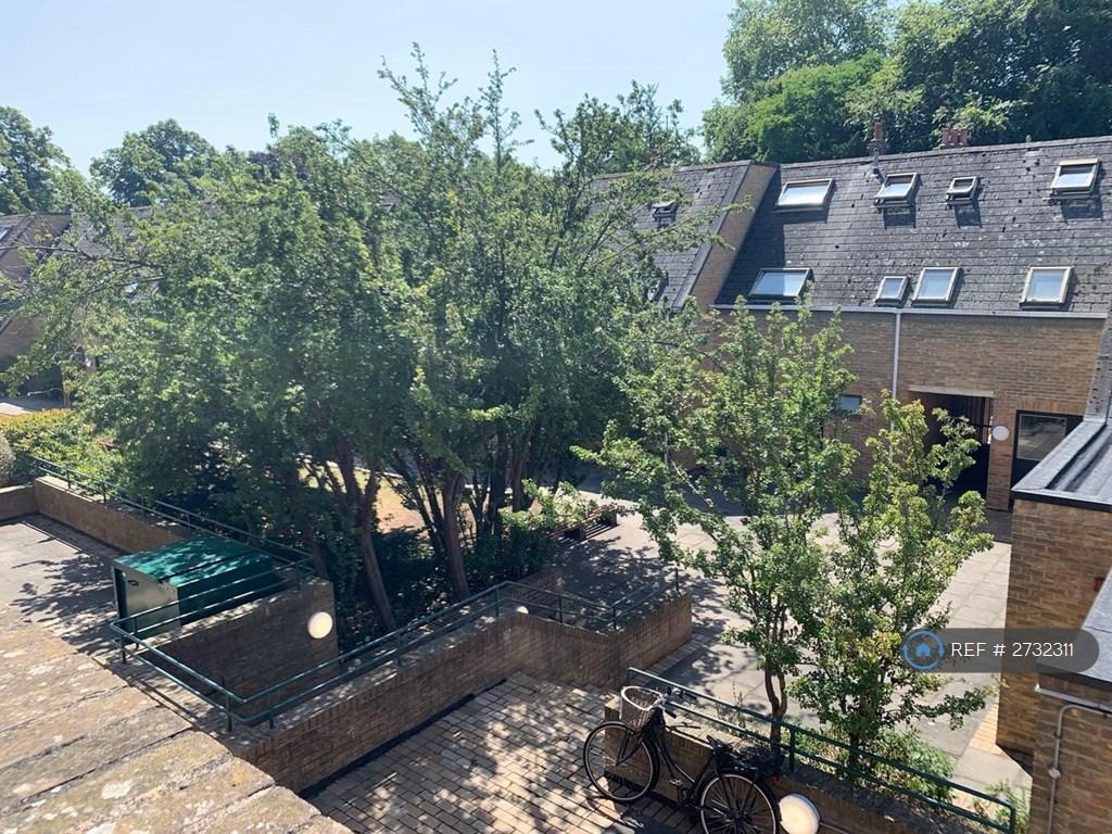 Balcony View In Spring