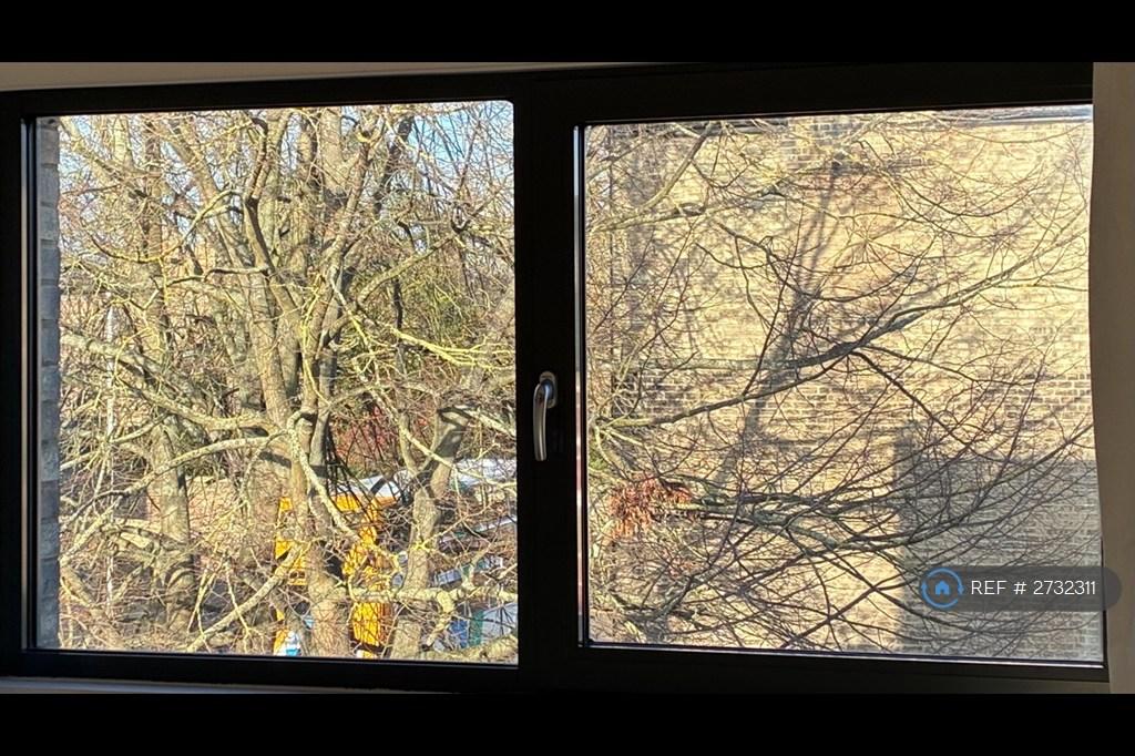 View From Bed 1 Window