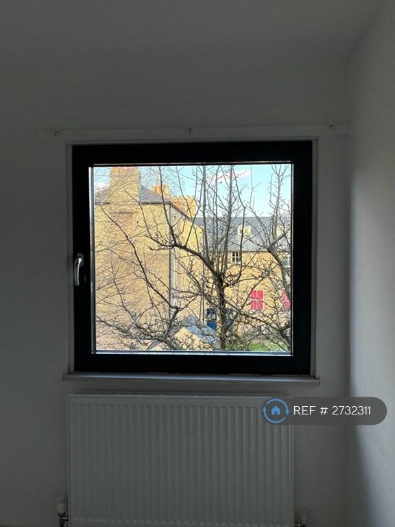 View From Bed 2 Window