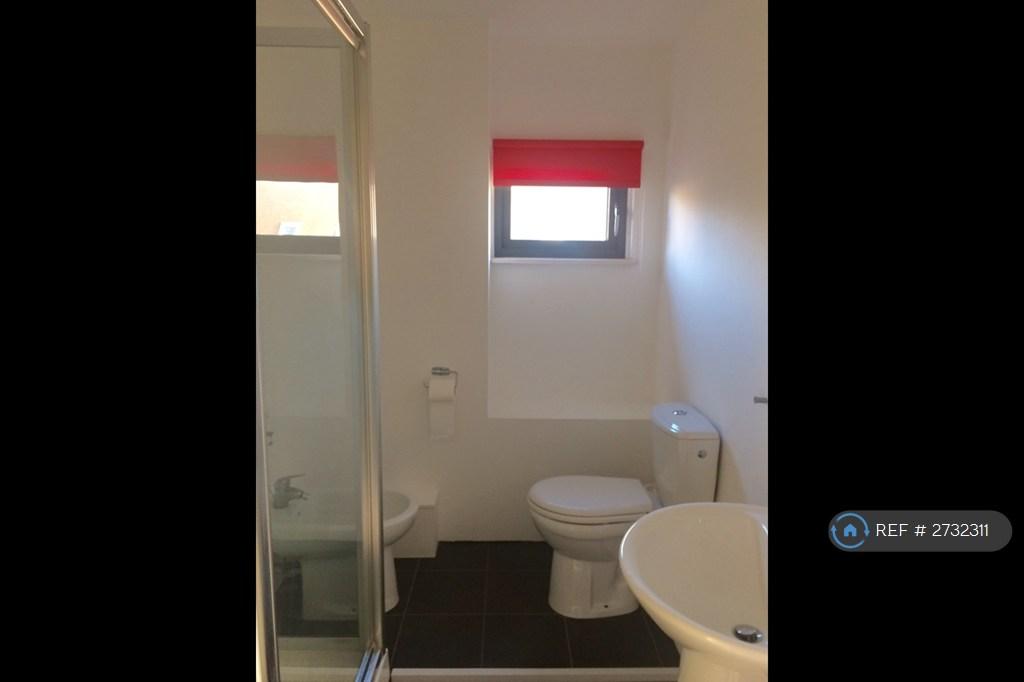 Shower Room With Bidet