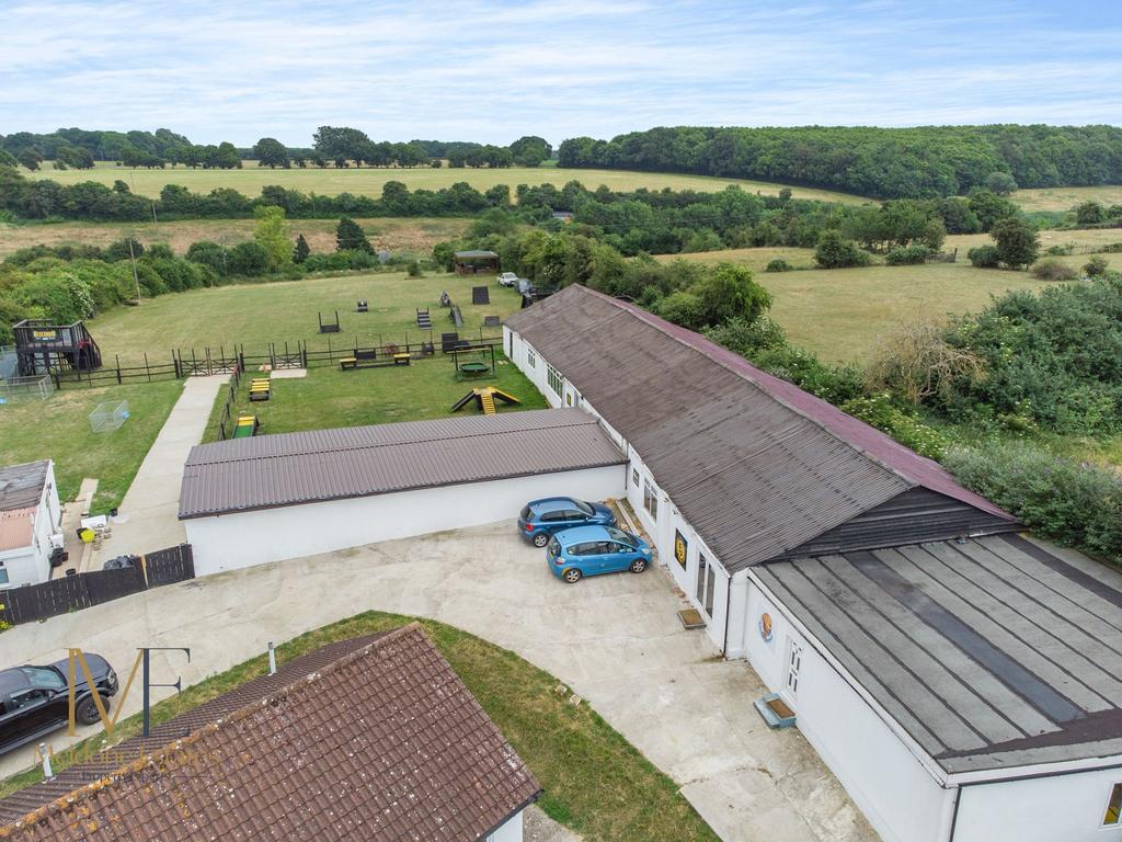 Plot view