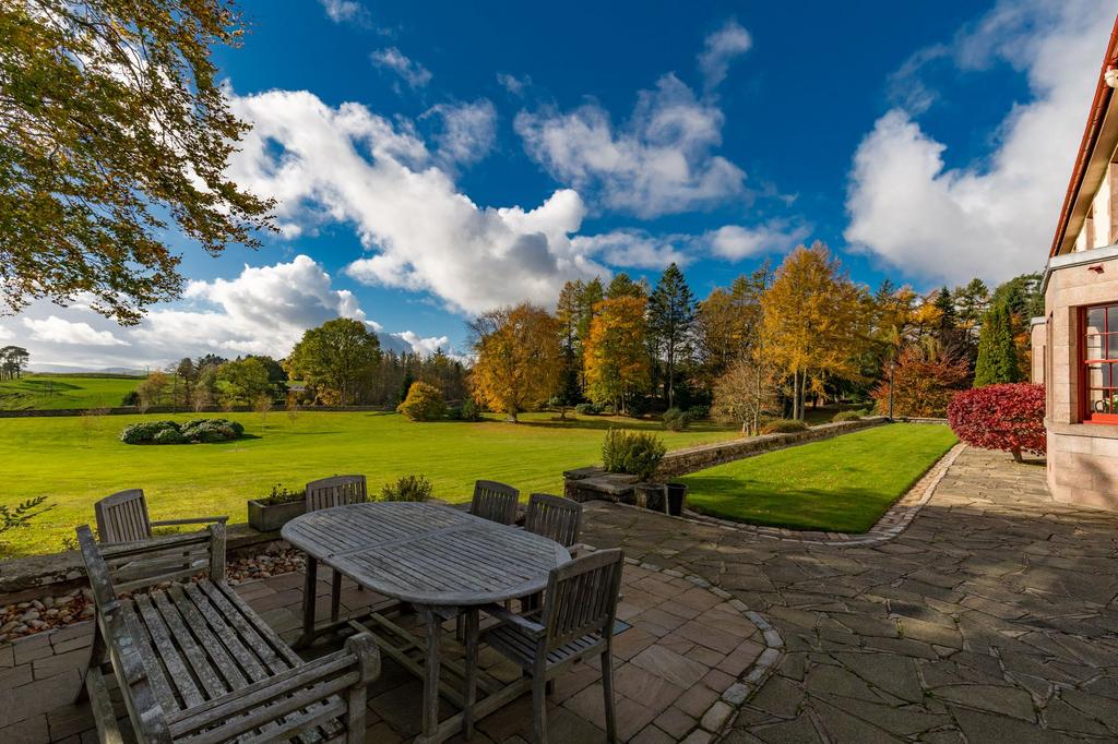 Terrace dining area