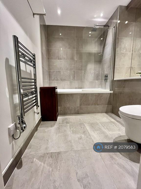 Modern Shower And Bath