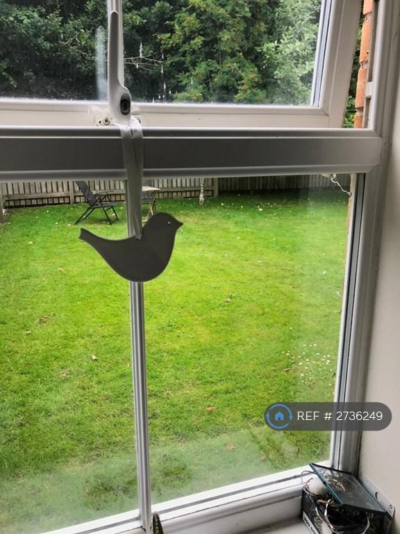 View From Bedroom Window