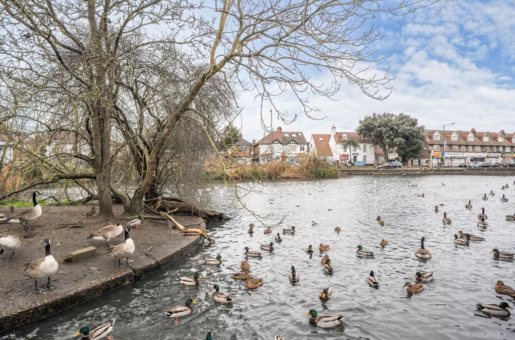 Three Kings Pond