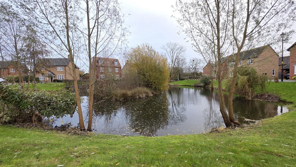 Surrounding Area
