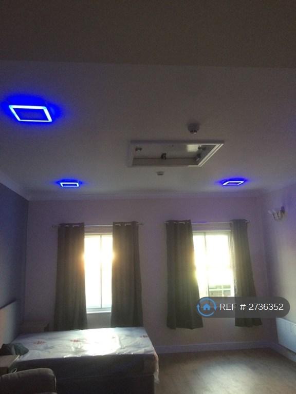 Special Led Lights