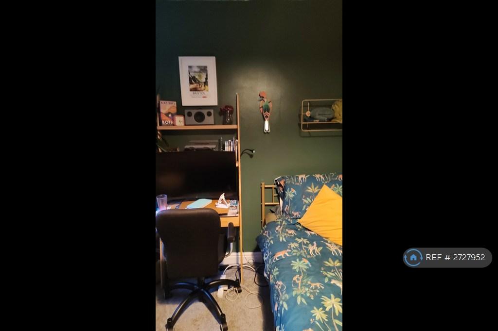 The Bedroom For Rent. Shown With a Single Bed.