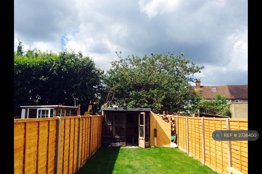 Back Garden