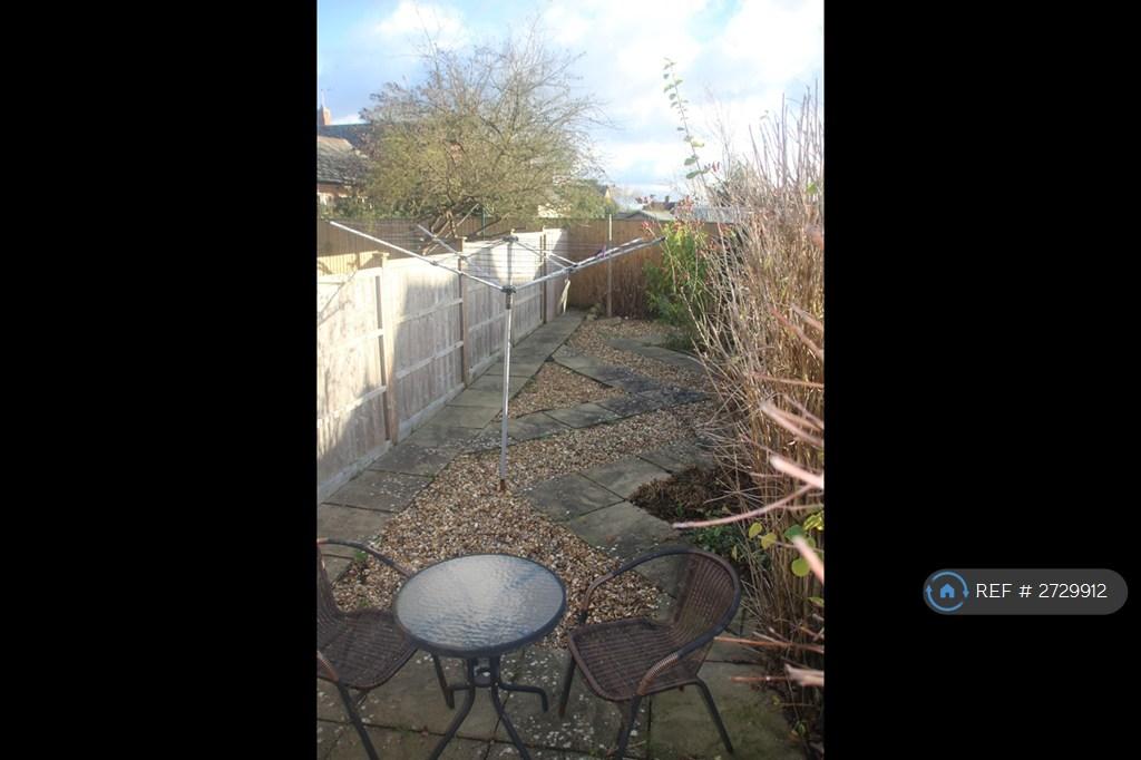 Back Garden
