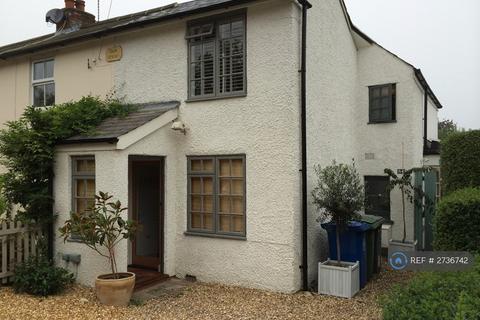 3 bedroom semi-detached house to rent - Upper Village Road, Sunninghill, SL5